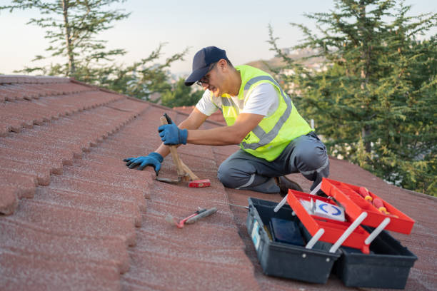 Best Roof Repair Services  in Wallace, ID